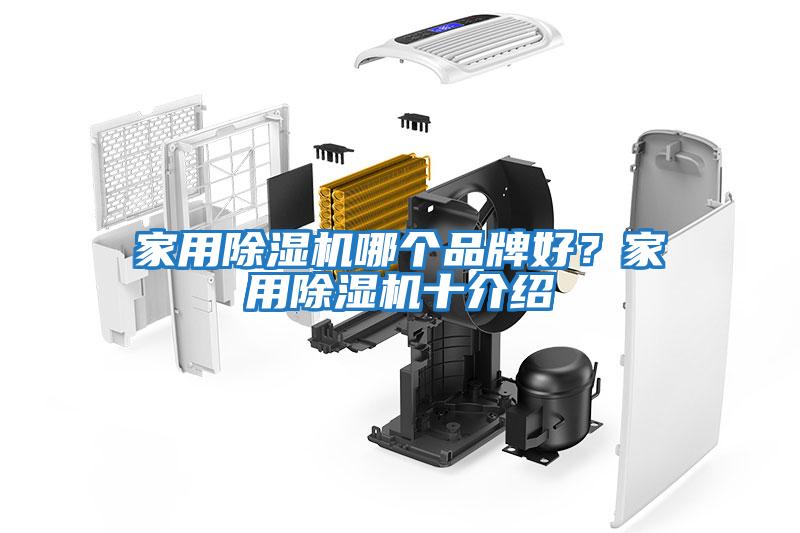 家用除濕機哪個品牌好？家用除濕機十介紹