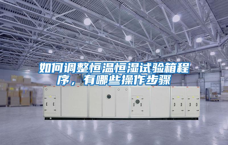 如何調(diào)整恒溫恒濕試驗箱程序,有哪些操作步驟