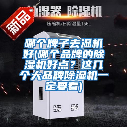 哪個牌子去濕機好(哪個品牌的除濕機好點？這幾個大品牌除濕機一定要看)
