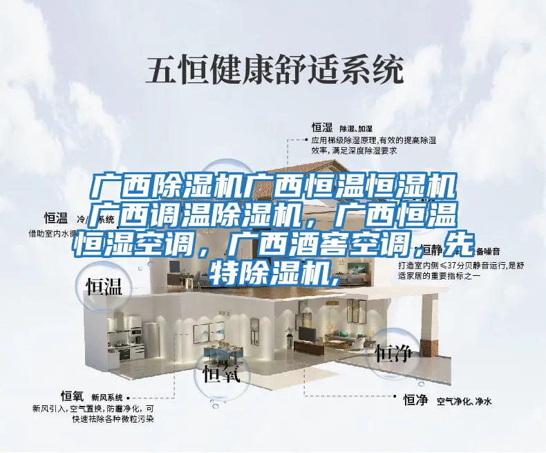 廣西除濕機(jī)廣西恒溫恒濕機(jī)廣西調(diào)溫除濕機(jī)，廣西恒溫恒濕空調(diào)，廣西酒窖空調(diào)，先特除濕機(jī),