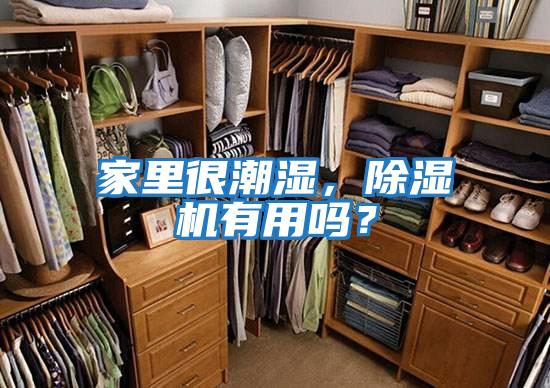 家里很潮濕,除濕機有用嗎?