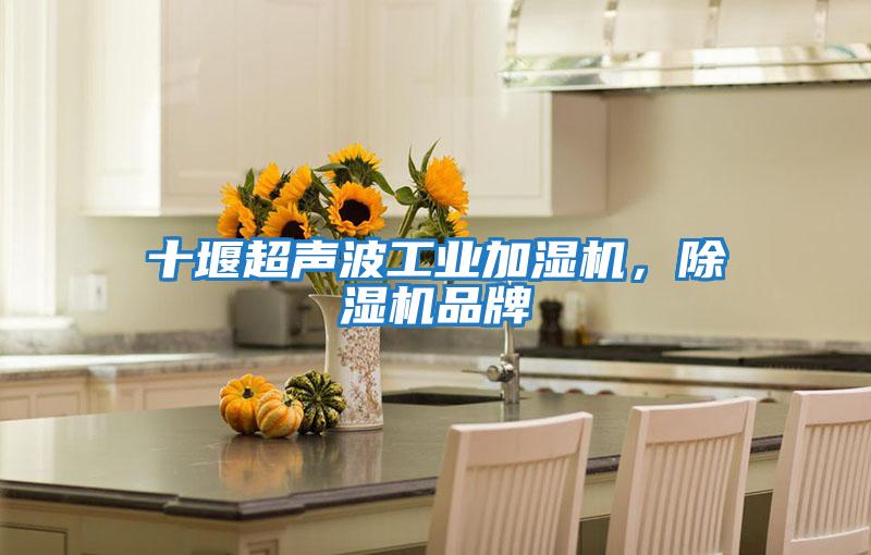 十堰超聲波工業加濕機，除濕機品牌