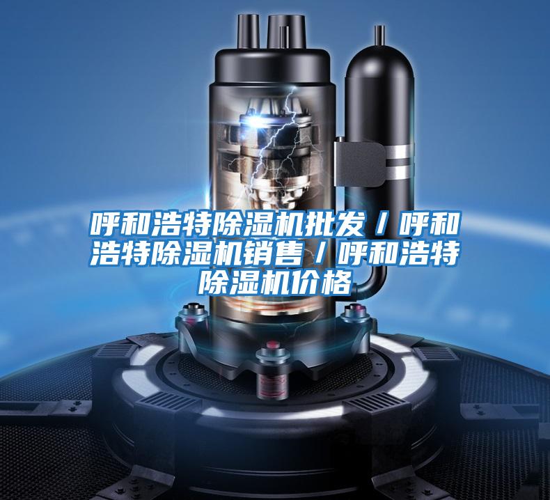 呼和浩特除濕機(jī)批發(fā)/呼和浩特除濕機(jī)銷售/呼和浩特除濕機(jī)價(jià)格