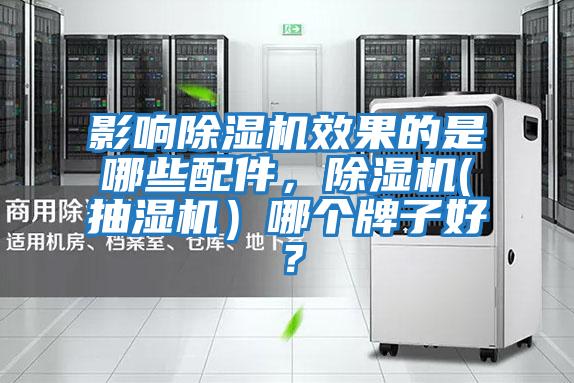 影響除濕機效果的是哪些配件，除濕機(抽濕機）哪個牌子好？