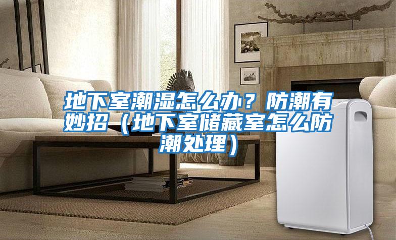 地下室潮濕怎么辦？防潮有妙招（地下室儲藏室怎么防潮處理）