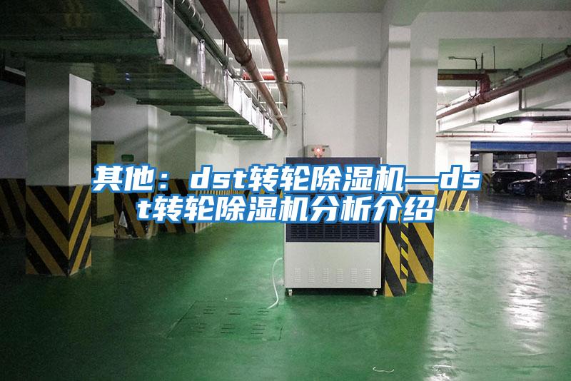 其他:dst轉輪除濕機—dst轉輪除濕機分析介紹