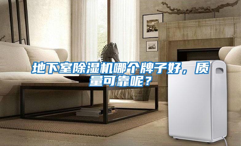 地下室除濕機哪個牌子好，質量可靠呢？