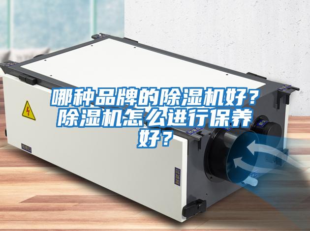哪種品牌的除濕機好？除濕機怎么進行保養好？