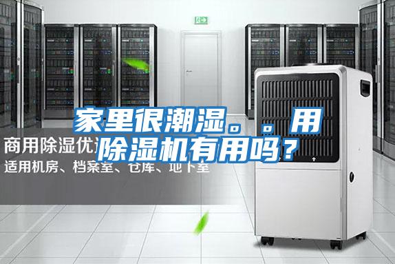 家里很潮濕。。用除濕機有用嗎？
