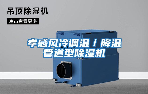 孝感風(fēng)冷調(diào)溫/降溫管道型除濕機