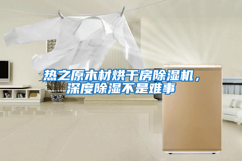 熱之原木材烘干房除濕機，深度除濕不是難事