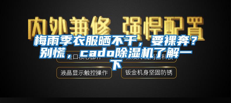 梅雨季衣服曬不干，要裸奔？別慌，cado除濕機了解一下