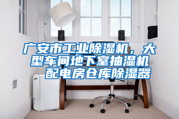 廣安市工業(yè)除濕機，大型車間地下室抽濕機  配電房倉庫除濕器