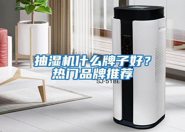 抽濕機(jī)什么牌子好？熱門品牌推薦