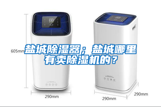 鹽城除濕器；鹽城哪里有賣除濕機的？