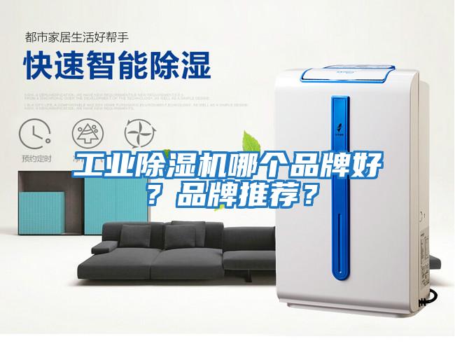 工業除濕機哪個品牌好？品牌推薦？
