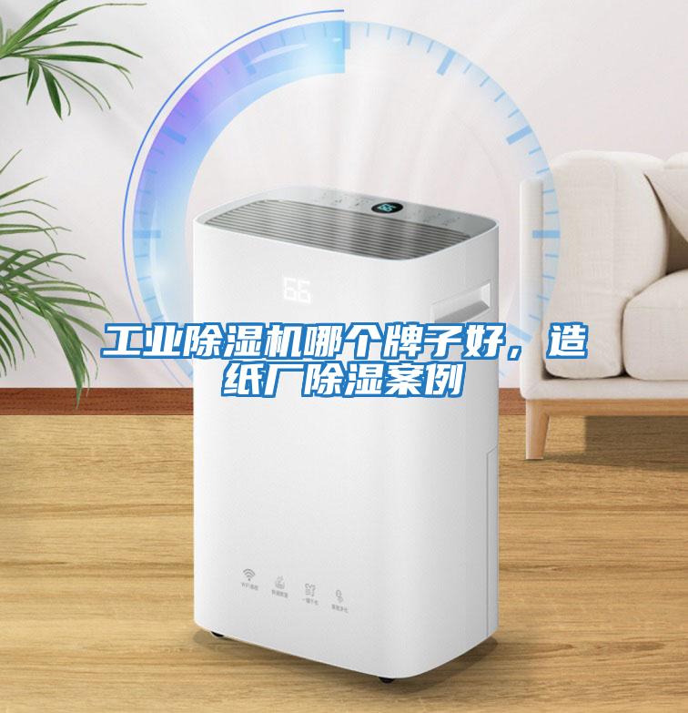 工業除濕機哪個牌子好，造紙廠除濕案例
