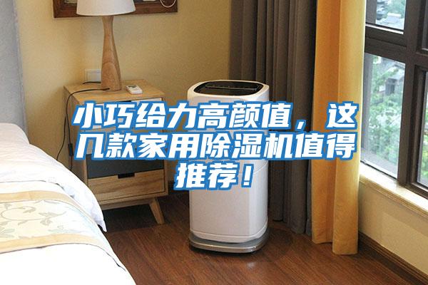 小巧給力高顏值，這幾款家用除濕機(jī)值得推薦！
