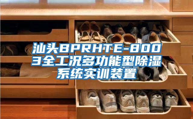 汕頭BPRHTE-8003全工況多功能型除濕系統實訓裝置