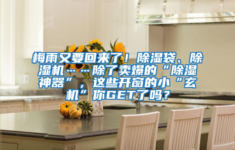 梅雨又要回來了！除濕袋、除濕機……除了賣爆的“除濕神器”，這些開窗的小“玄機”你GET了嗎？