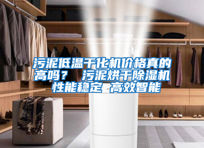 污泥低溫干化機價格真的高嗎？ 污泥烘干除濕機 性能穩(wěn)定 高效智能