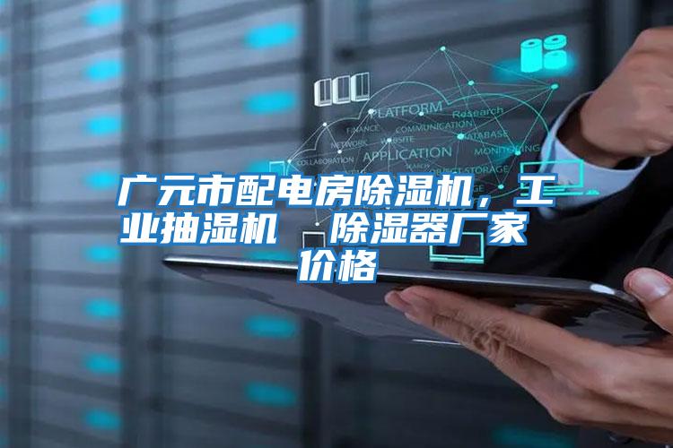 廣元市配電房除濕機，工業抽濕機  除濕器廠家 價格