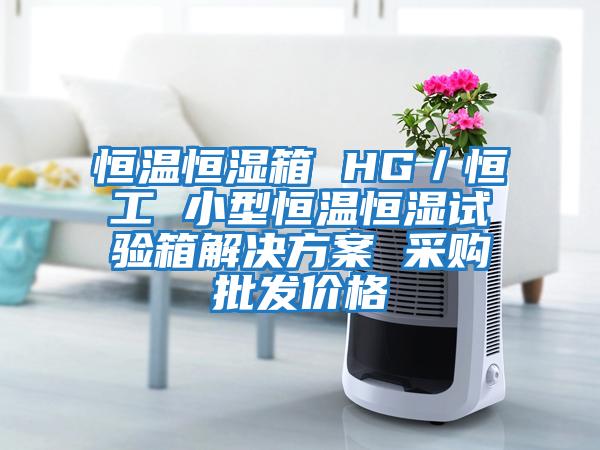 恒溫恒濕箱 HG/恒工 小型恒溫恒濕試驗(yàn)箱解決方案 采購批發(fā)價(jià)格