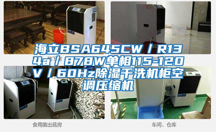 海立BSA645CW/R134a/878W單相115-120V/60Hz除濕干洗機(jī)柜空調(diào)壓縮機(jī)