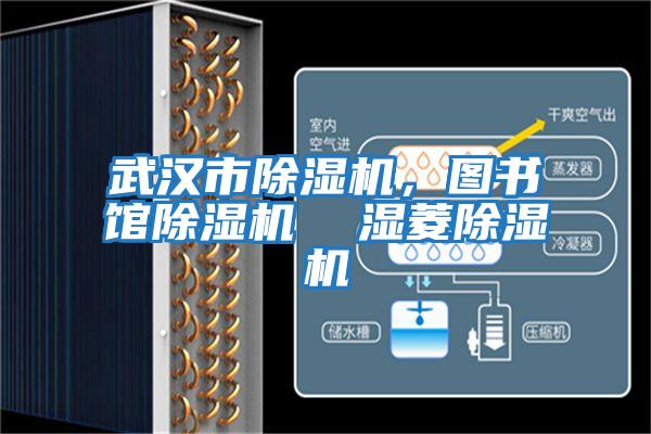 武漢市除濕機(jī)，圖書(shū)館除濕機(jī)  濕菱除濕機(jī)