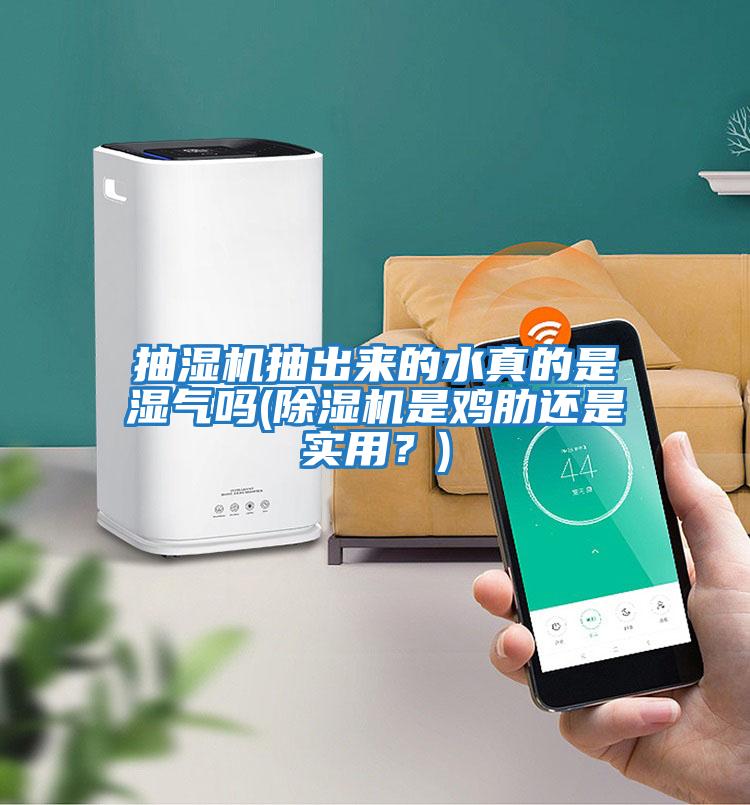抽濕機(jī)抽出來的水真的是濕氣嗎(除濕機(jī)是雞肋還是實用？)