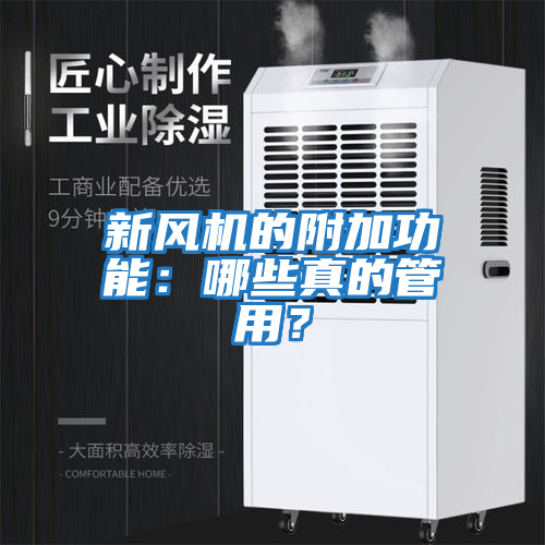 新風機的附加功能：哪些真的管用？