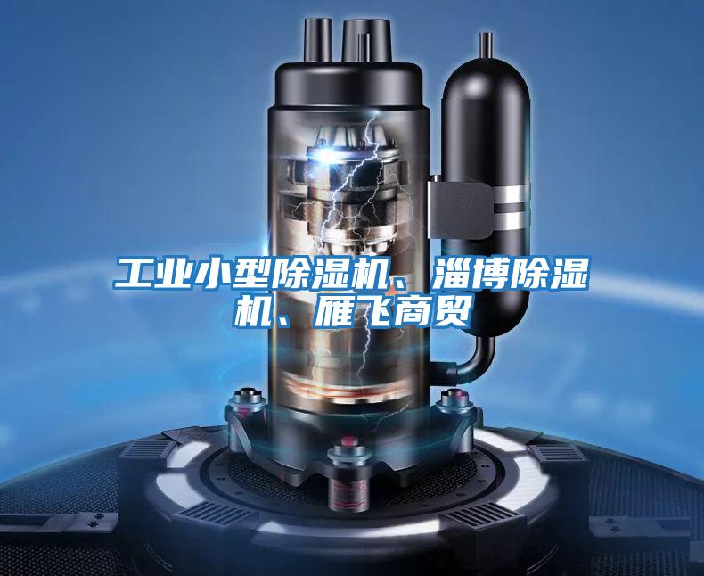 工業小型除濕機、淄博除濕機、雁飛商貿