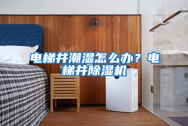 電梯井潮濕怎么辦？電梯井除濕機