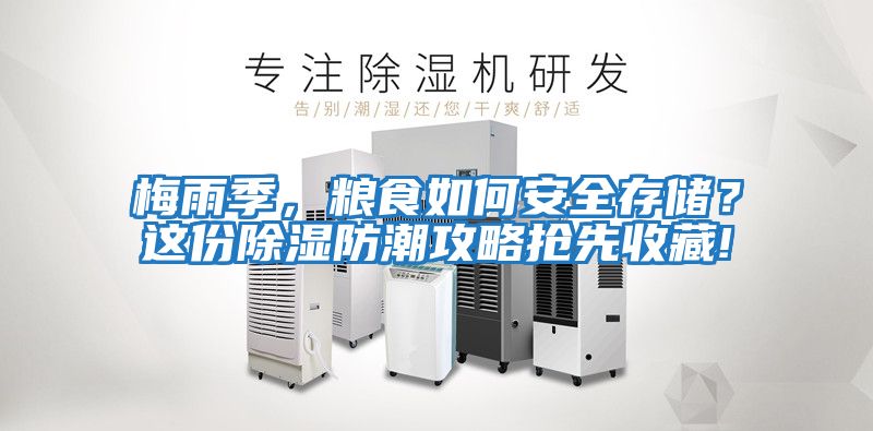梅雨季，糧食如何安全存儲？這份除濕防潮攻略搶先收藏!