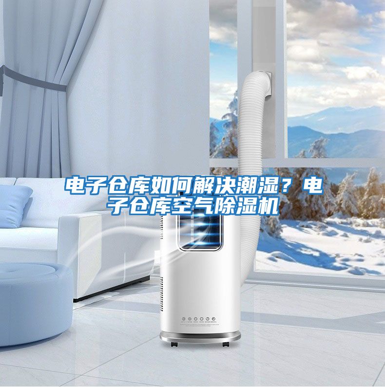 電子倉庫如何解決潮濕？電子倉庫空氣除濕機