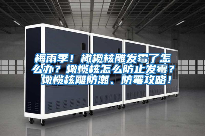 梅雨季！橄欖核雕發霉了怎么辦？橄欖核怎么防止發霉？ 橄欖核雕防潮、防霉攻略！