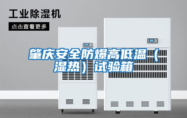 肇慶安全防爆高低溫(濕熱)試驗(yàn)箱