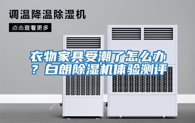 衣物家具受潮了怎么辦？白朗除濕機體驗測評