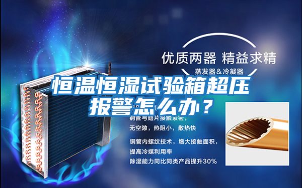 恒溫恒濕試驗箱超壓報警怎么辦?