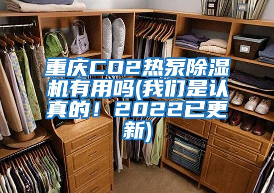 重慶CO2熱泵除濕機有用嗎(我們是認真的！2022已更新)