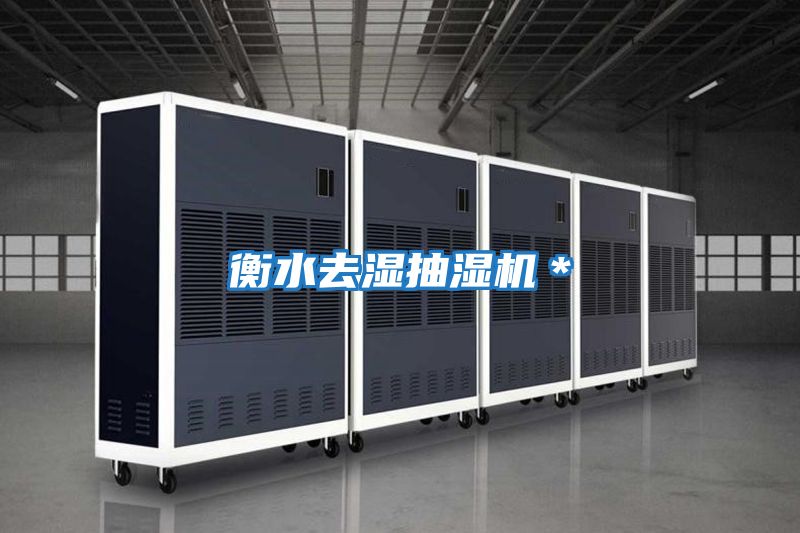 衡水去濕抽濕機*