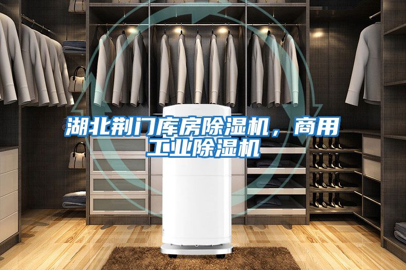 湖北荊門庫房除濕機，商用工業除濕機