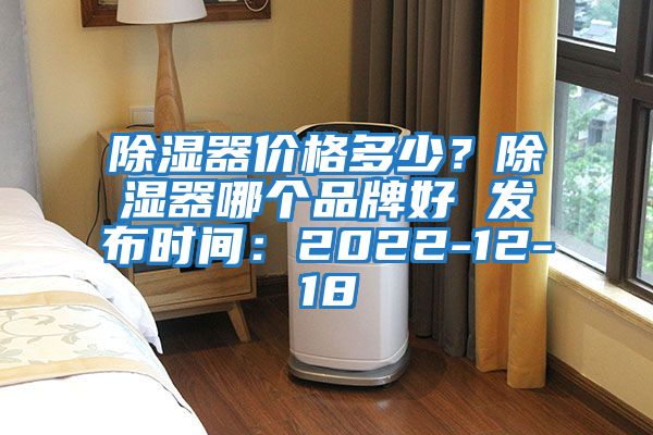 除濕器價格多少？除濕器哪個品牌好 發布時間：2022-12-18