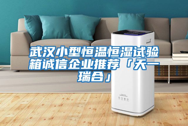 武漢小型恒溫恒濕試驗(yàn)箱誠(chéng)信企業(yè)推薦「天一瑞合」