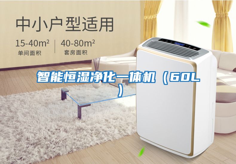 智能恒濕凈化一體機(jī)(60L)