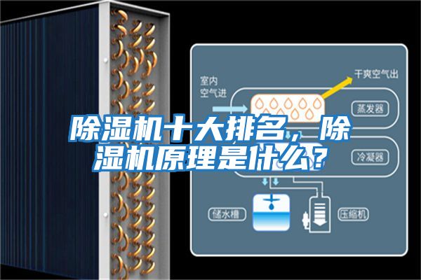 除濕機十大排名，除濕機原理是什么？