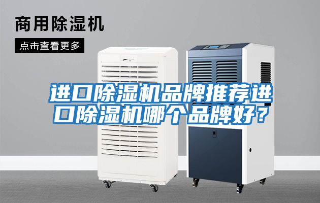 進口除濕機品牌推薦進口除濕機哪個品牌好？