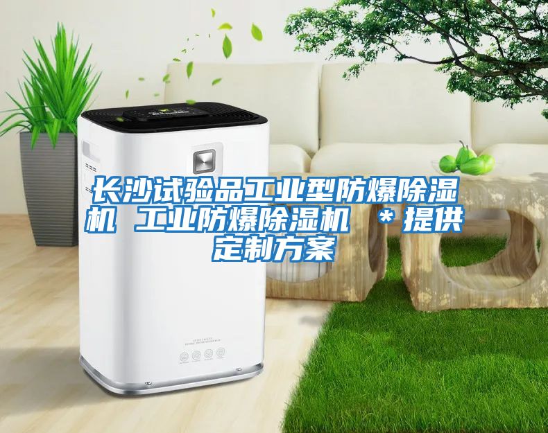 長(zhǎng)沙試驗(yàn)品工業(yè)型防爆除濕機(jī) 工業(yè)防爆除濕機(jī) *提供定制方案