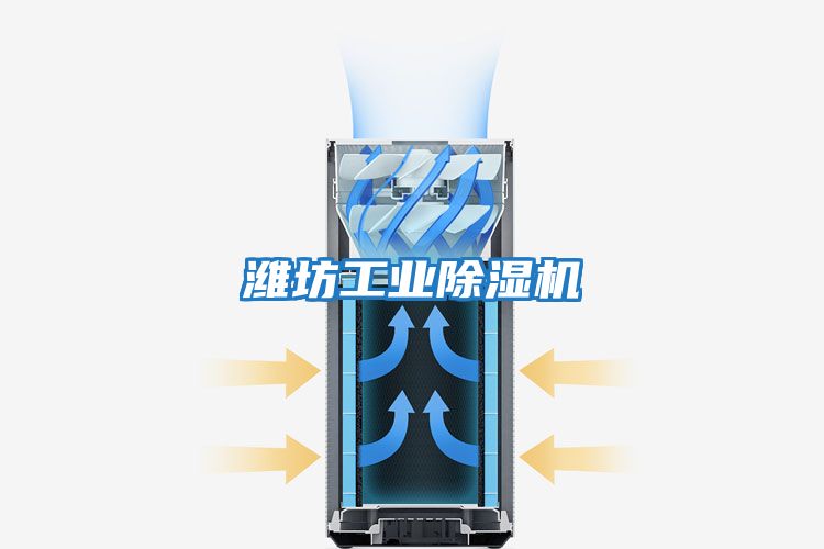濰坊工業除濕機