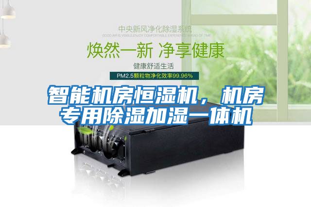 智能機房恒濕機，機房專用除濕加濕一體機